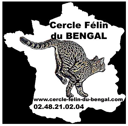 Cercle felin du bengal