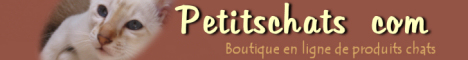 Petits chats com