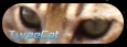 TweeCat.com - Elevage de chat de bengal