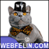 Webfelin.com